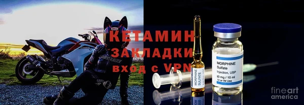 дмт Нея