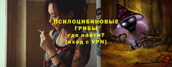 дмт Нея