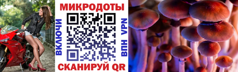 Галлюциногенные грибы MAGIC MUSHROOMS  Михайловск 