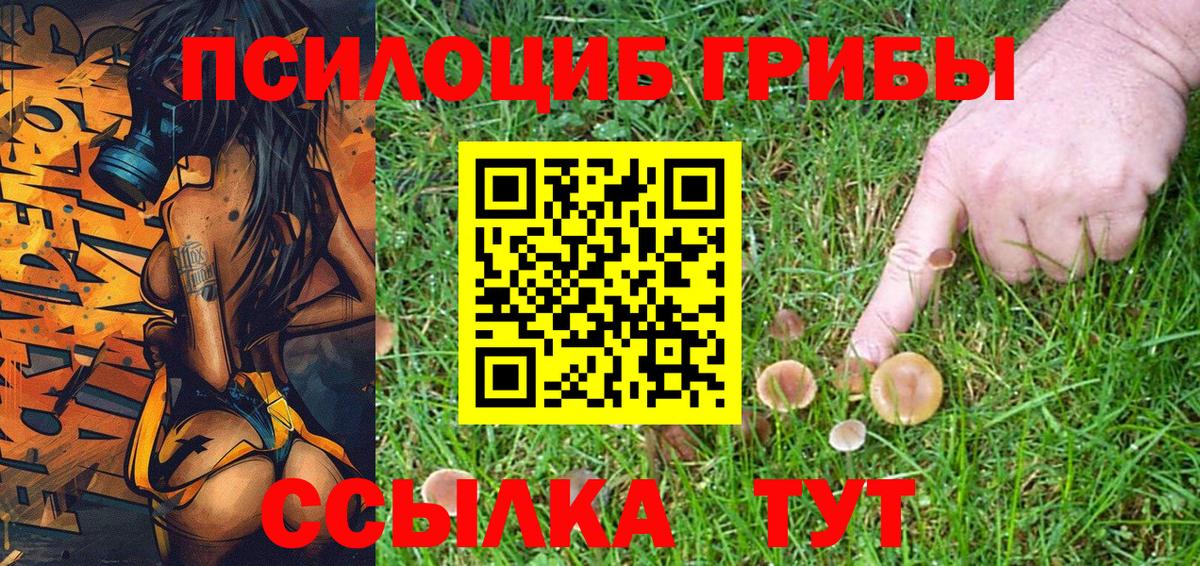 Псилоцибиновые грибы ЛСД Михайловск