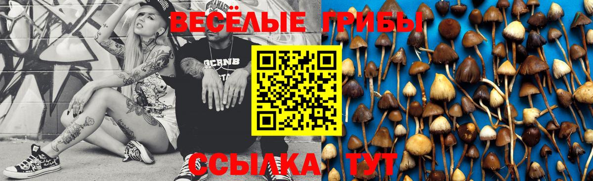 Галлюциногенные грибы GOLDEN TEACHER  Вход с VPN  Псилоцибиновые грибы прущие грибы  Михайловск 